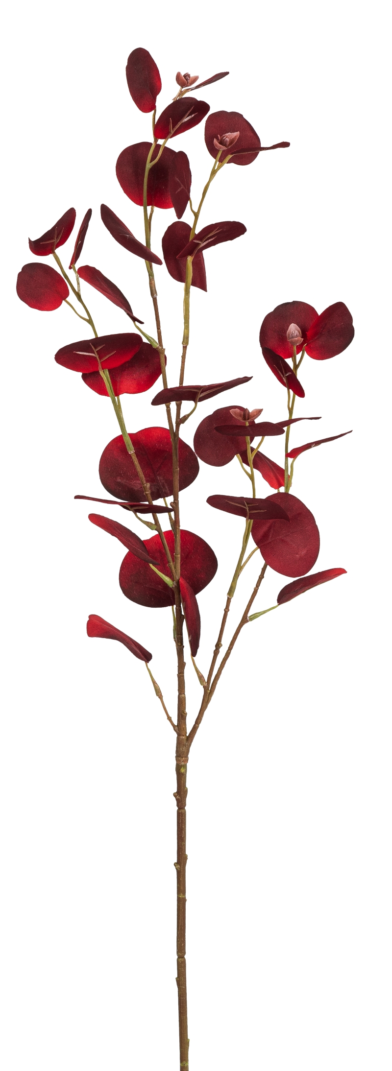 Eukalyptuszweig 2-fach 80cm Farbe: burgund