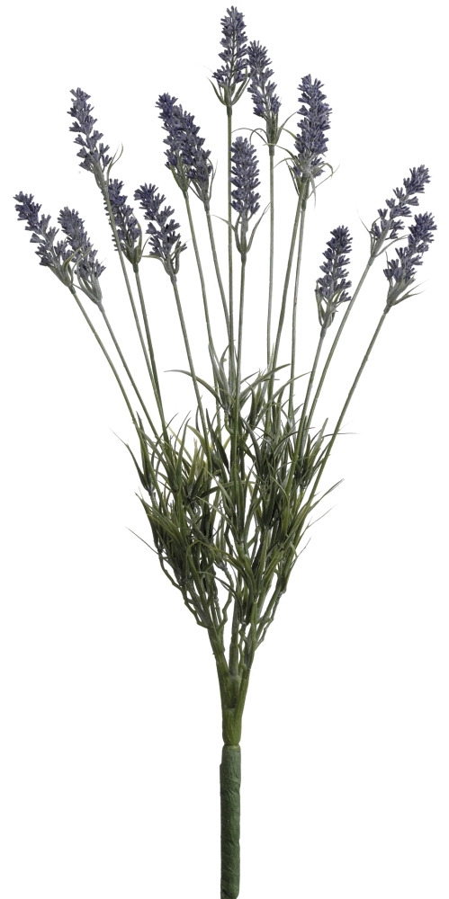 Lavendelbusch x 15 60cm Farbe: lila