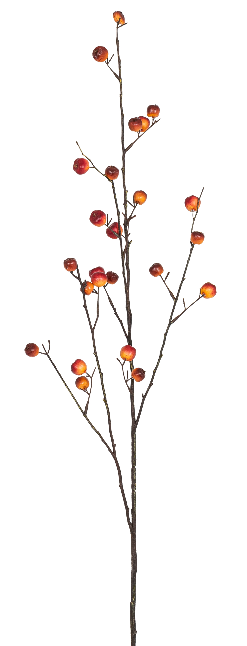 Früchtezweig x 24 90cm Farbe: orange-rot