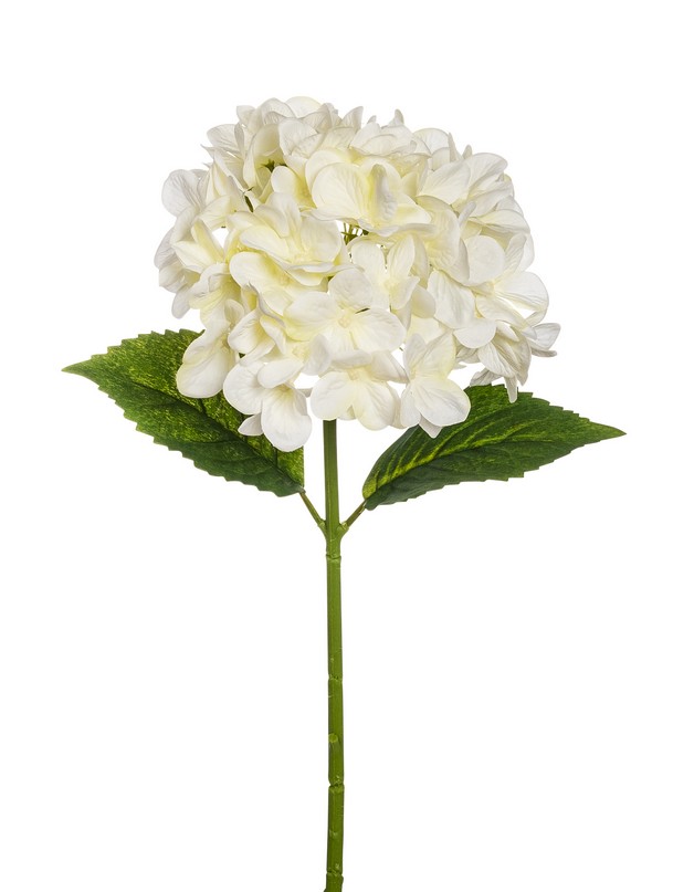 Hortensie 49cm Blütenkopf Ø ca. 16cm Farbe: elfenbein