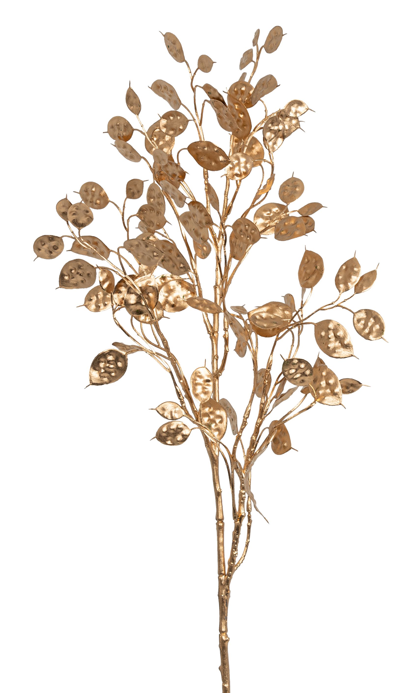 Lunariazweig 70cm Farbe: gold