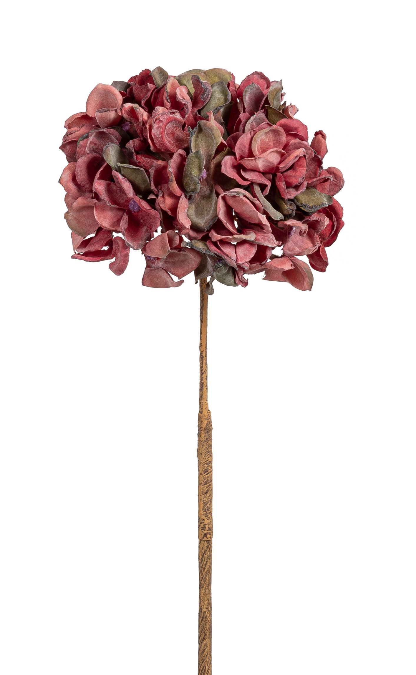 Hortensie 57cm Blütenkopf Ø ca. 18cm Farbe: burgund