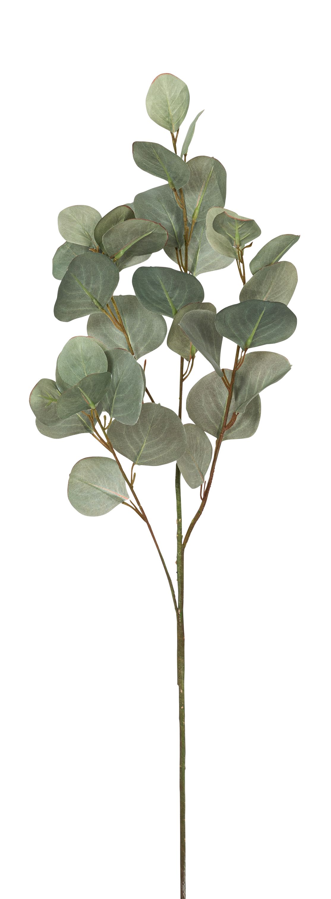 Eukalyptuszweig 87cm Farbe: grün