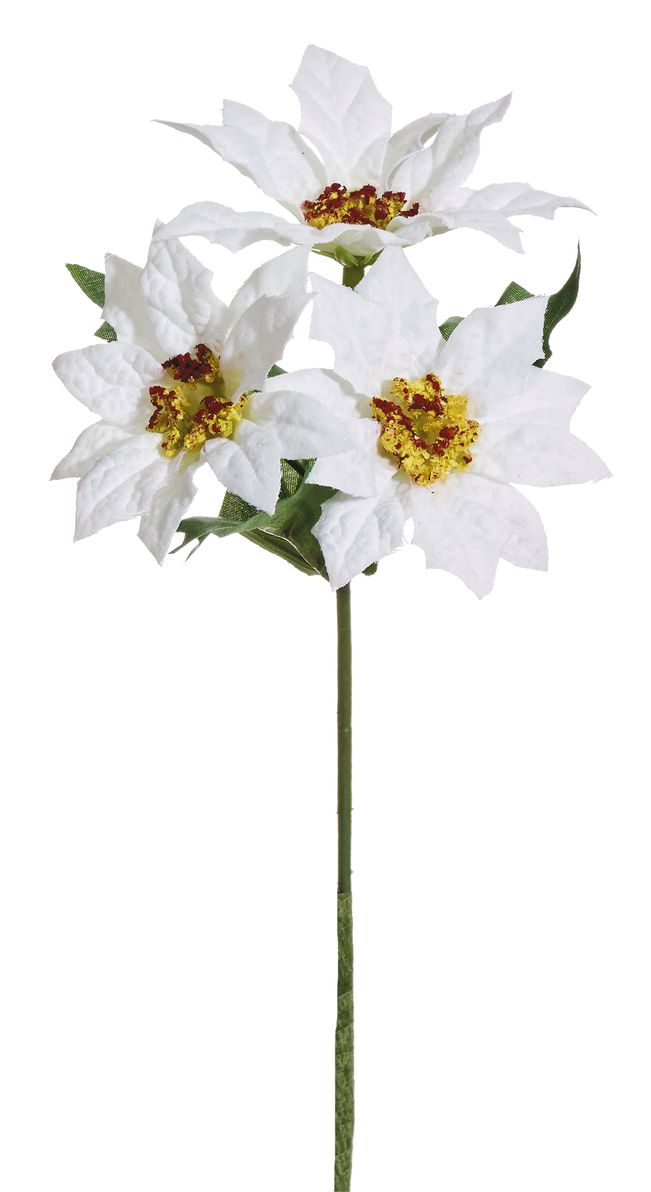 Poinsettiapick x 3 22cm Blütenkopf Ø ca. 6cm Farbe: weiß