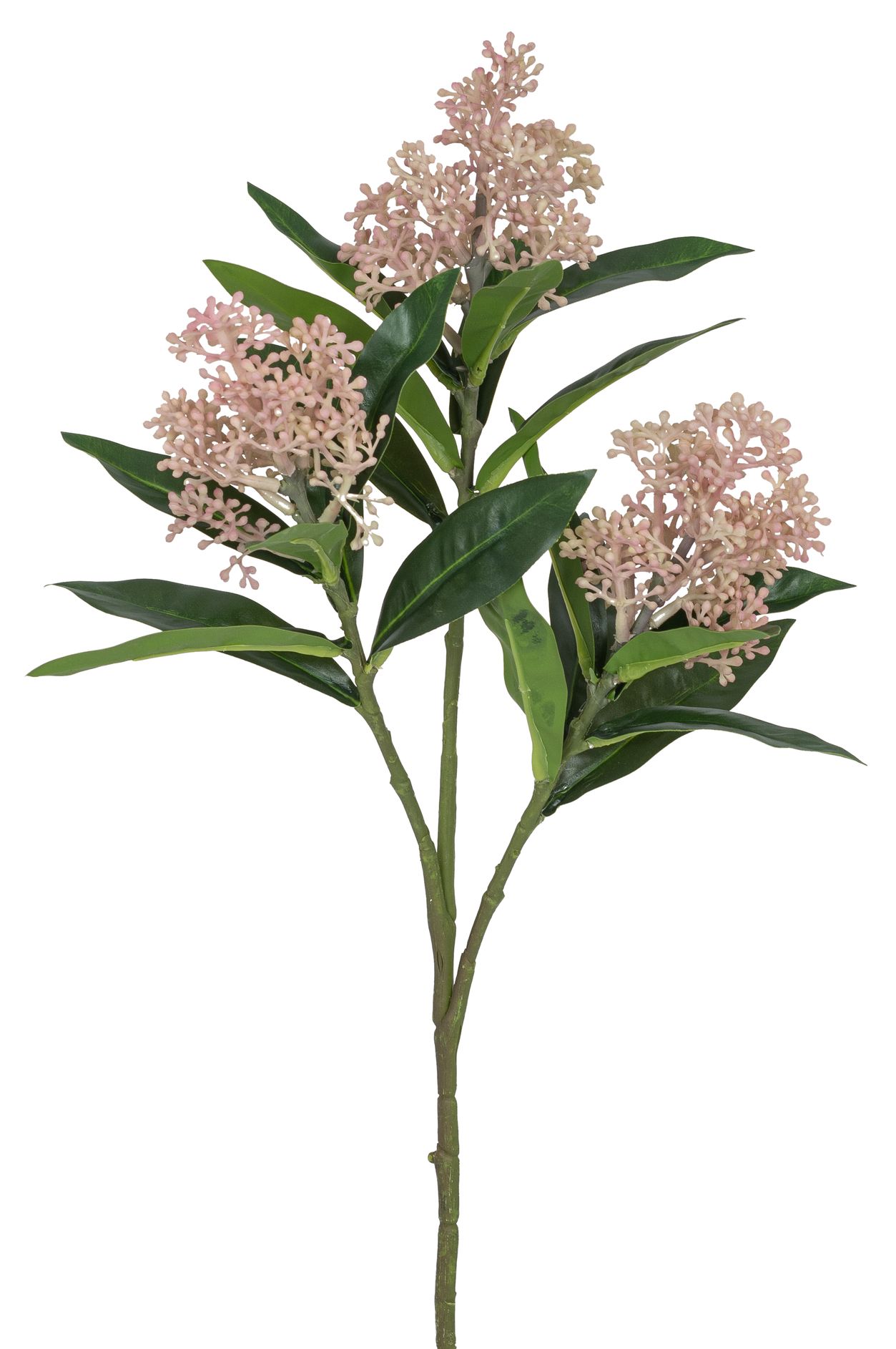 Aglaiazweig x 3 47cm Blütenkopf Ø ca. 6cm Farbe: rosé