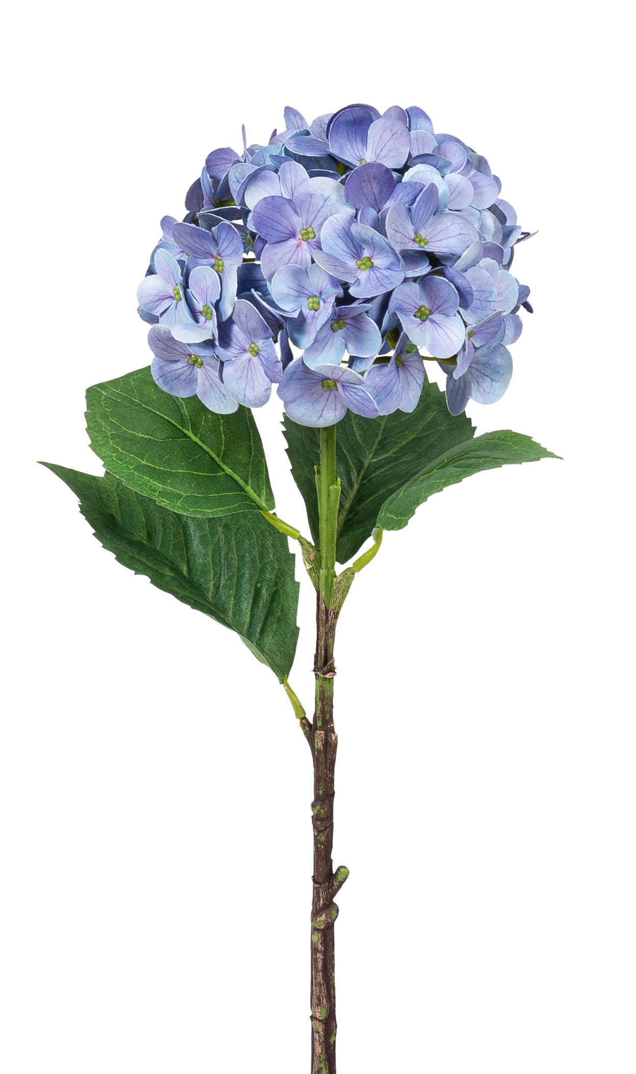 Hortensie 46cm Blütenkopf Ø ca. 13cm Farbe: blaulila