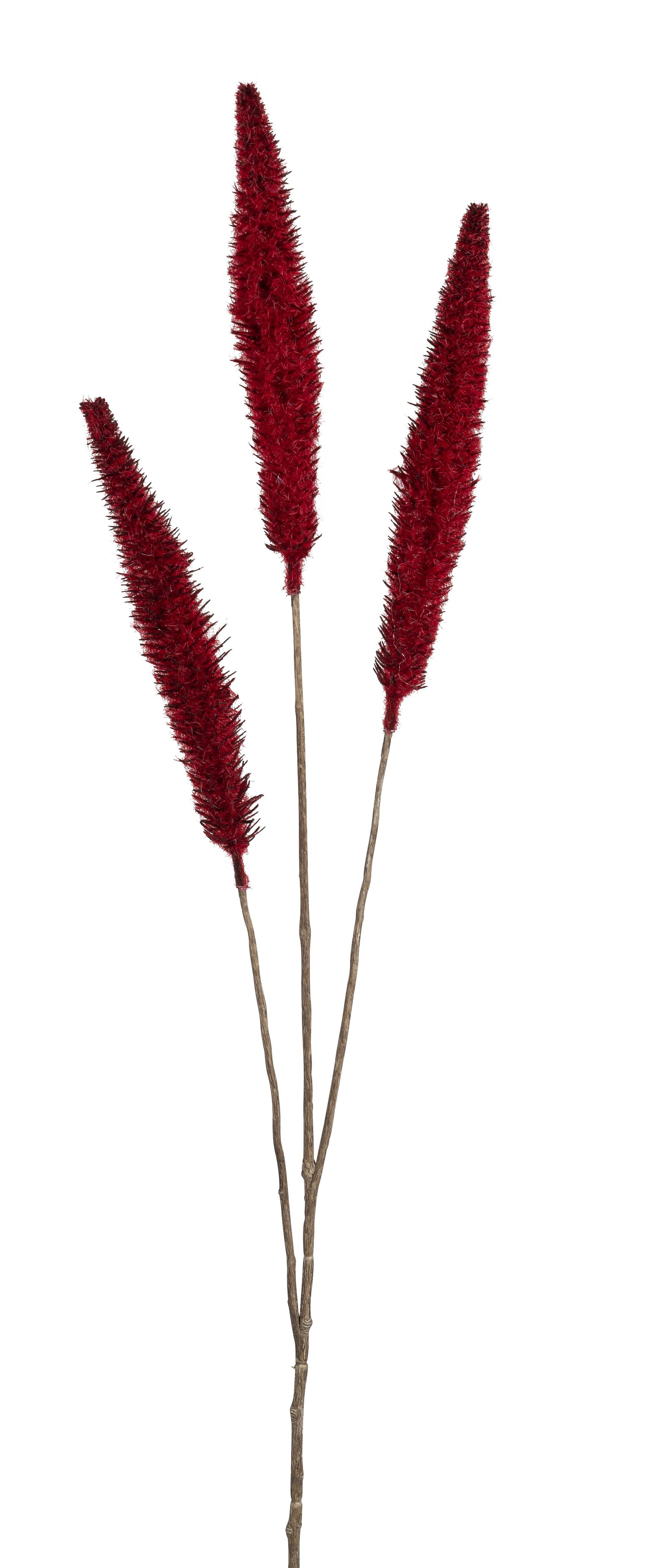 Fuchsschwanzgras x 3 92cm Farbe: altrot