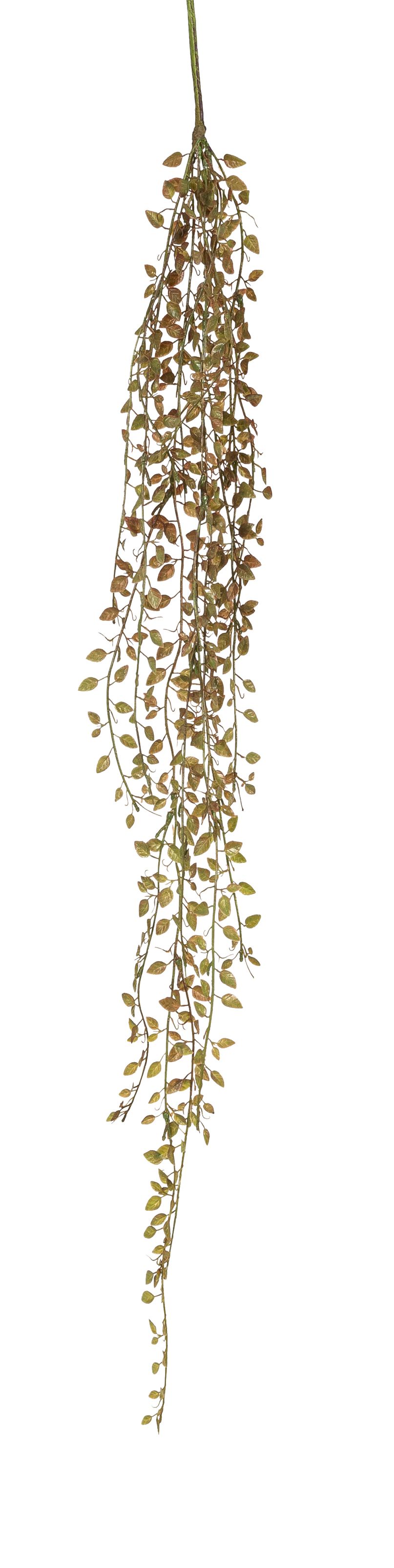 Kletterfeigenranke x 9 108cm Farbe: grün-braun