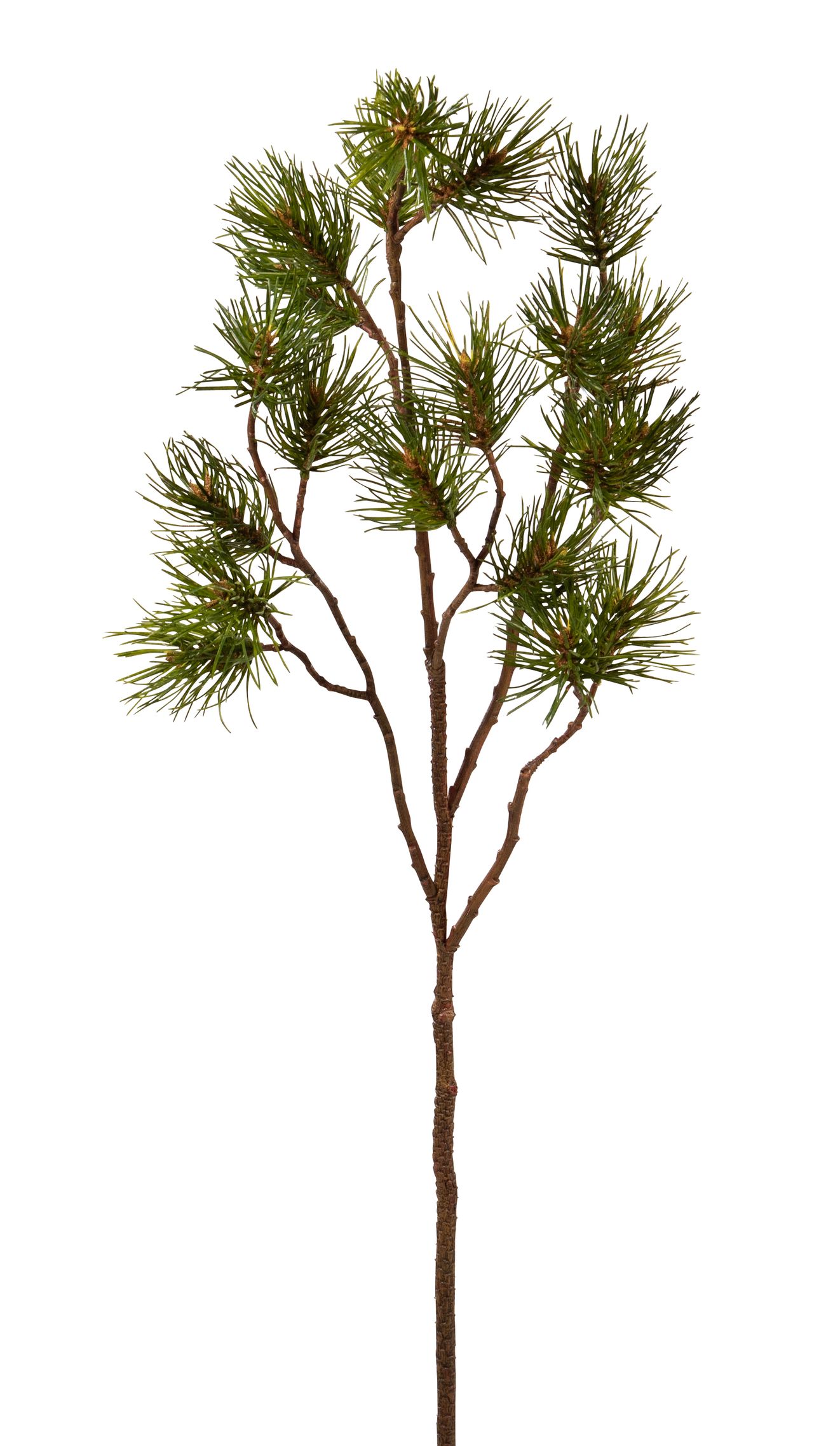 Kiefernzweig x 20 86cm Farbe: grün