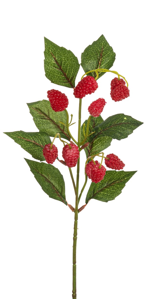 Brombeerenzweig x 10 45cm Farbe: rot