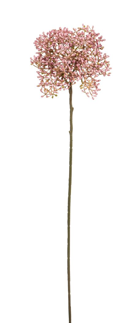 Holunderbeerenzweig 54cm Blütenkopf Ø ca. 10cm Farbe: altrosé