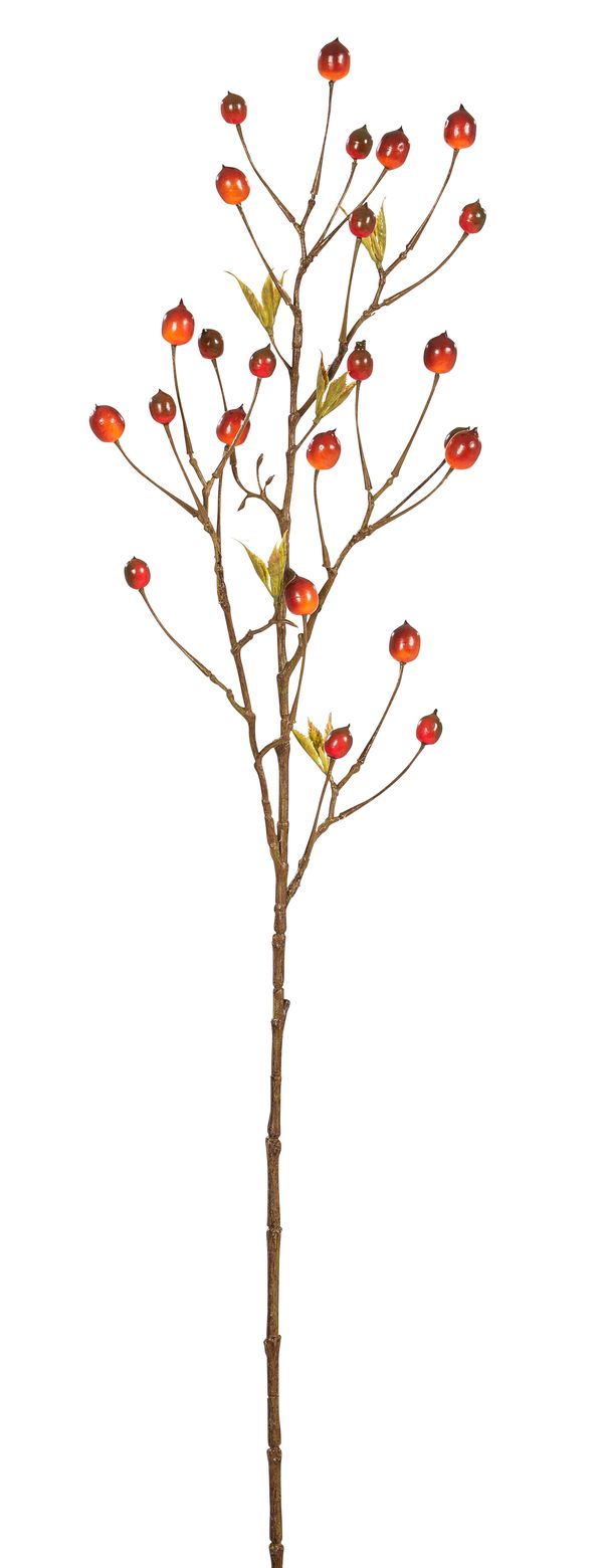 Kornelkirschzweig x 24 83cm Farbe: orange-rot