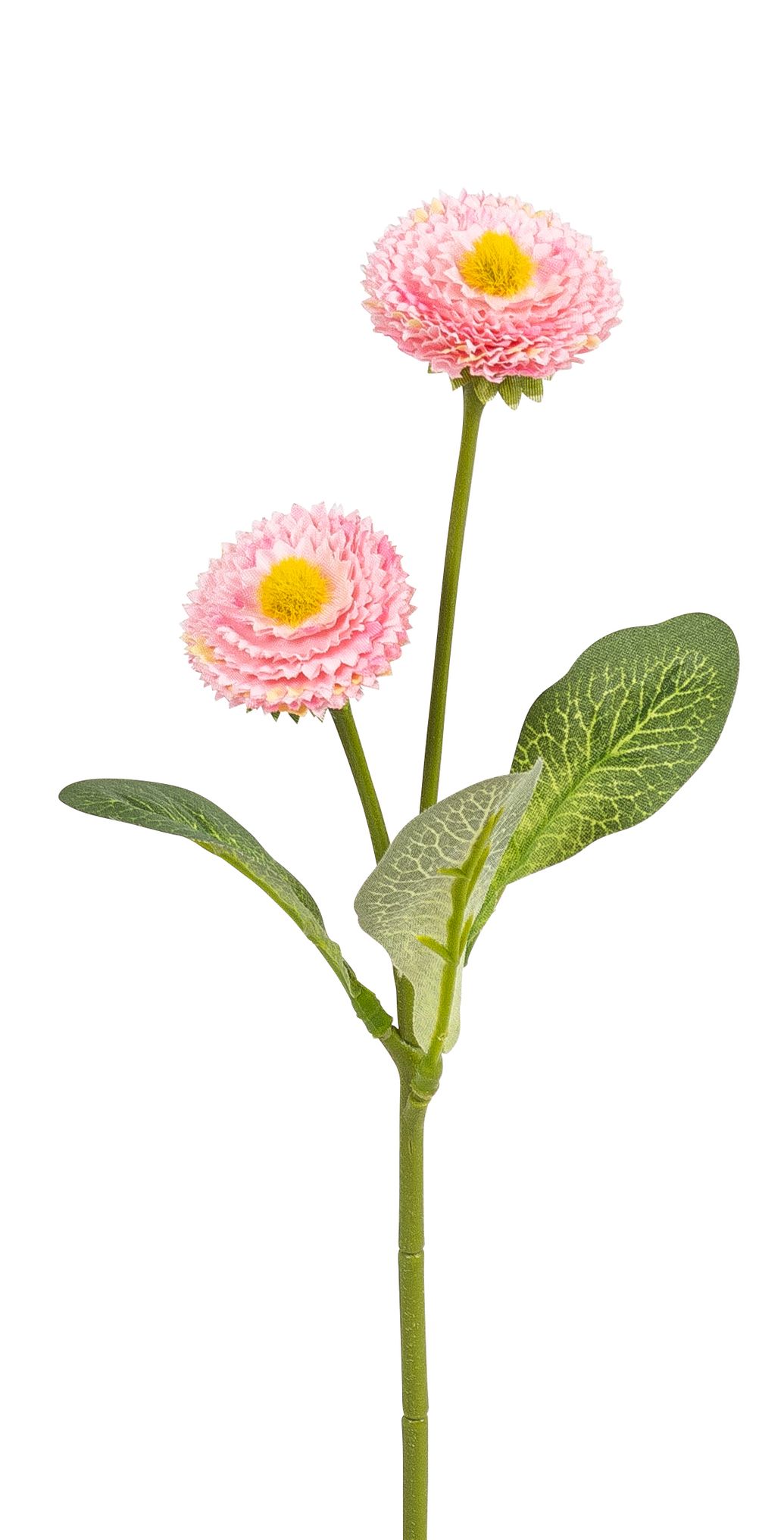 Bellis x 2 28cm Blütenkopf Ø ca. 3,5/4cm Farbe: rosé