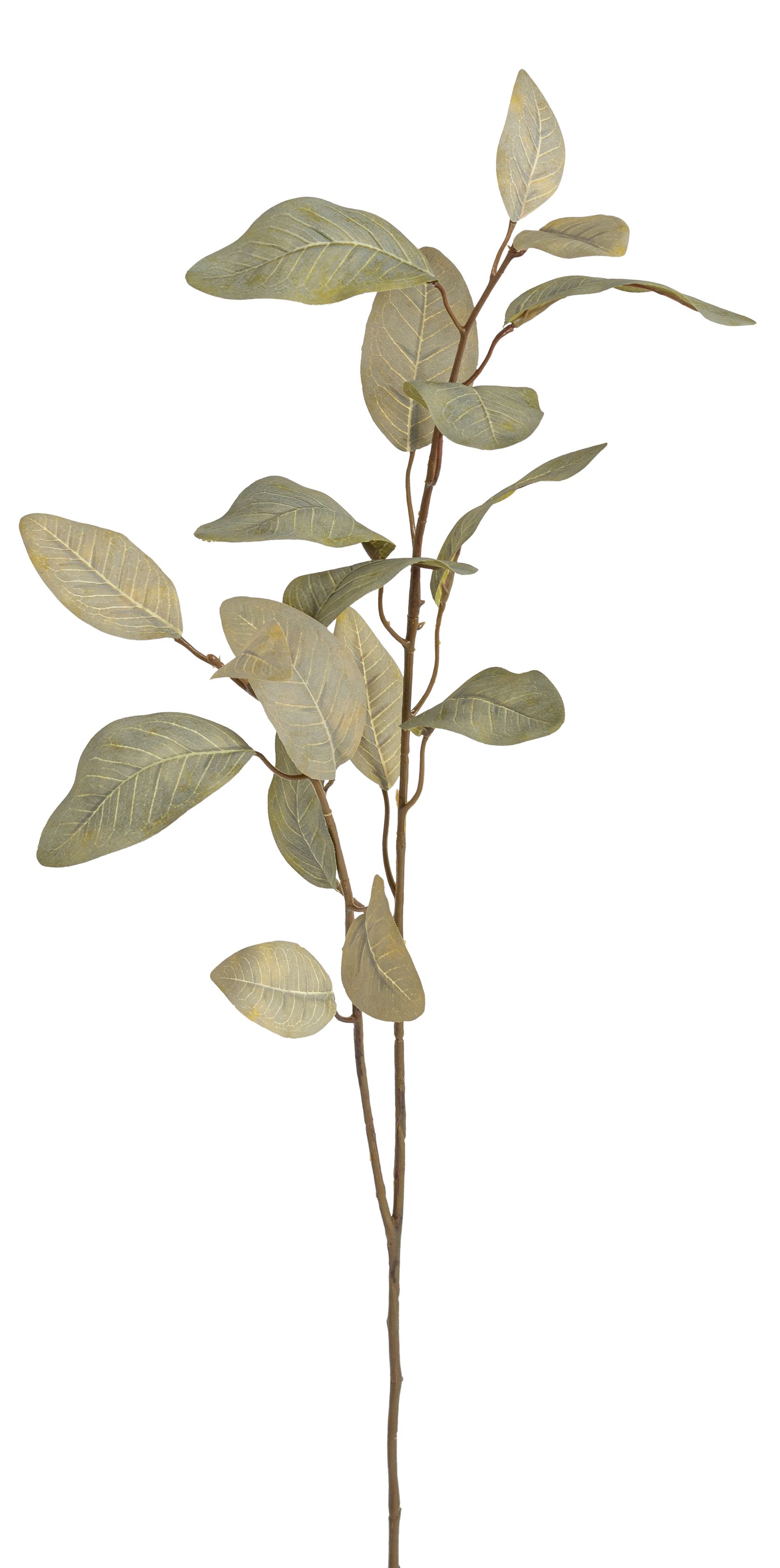 Eukalyptuszweig 2-fach 85cm Farbe: grün