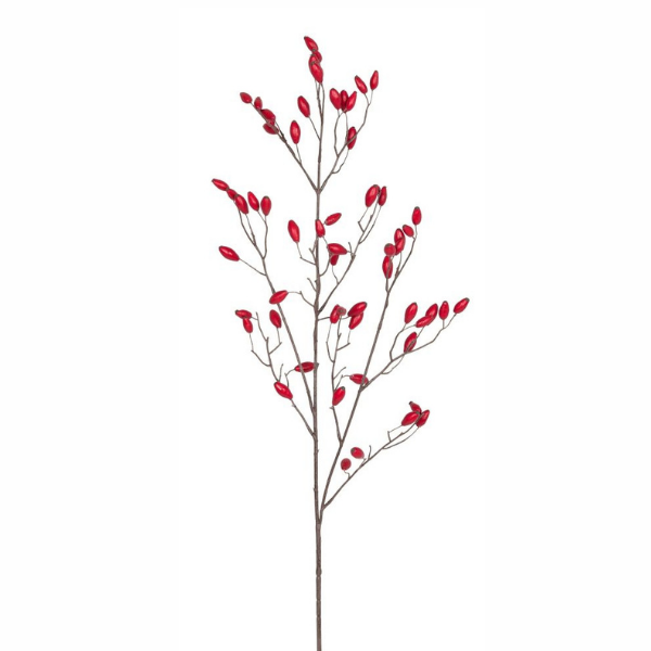 Beeren 