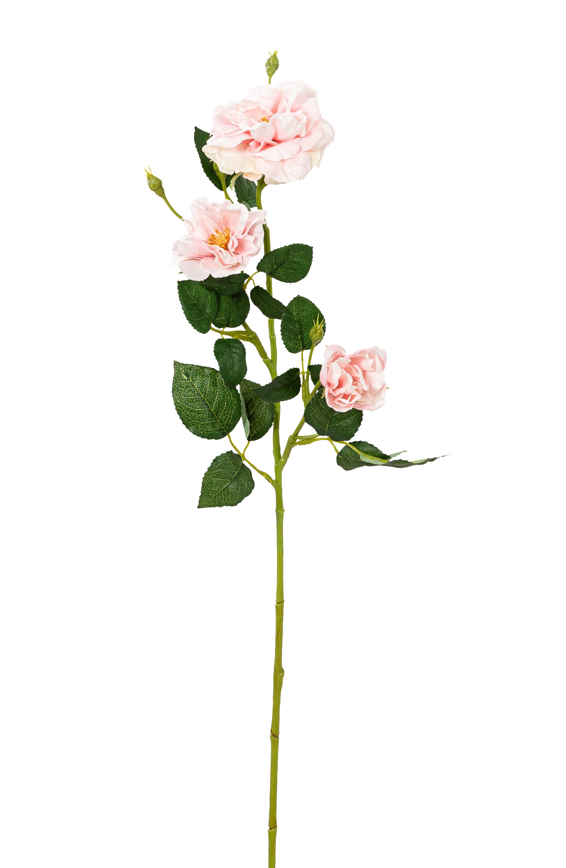 Heckenrosenzweig x 3 68cm Blütenkopf Ø ca. 5/8/9cm Farbe: rosé