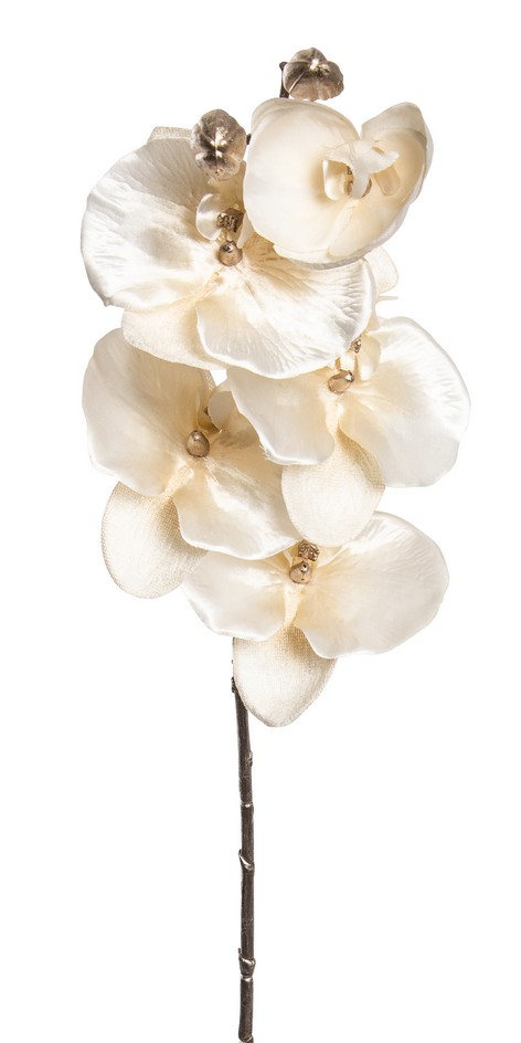 Velvet-Phalaenopsis x 7 68cm Farbe: creme
