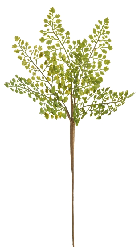 Adiantumzweig 6-fach 54cm Farbe: grün-gemischt