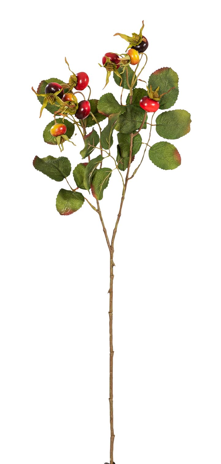 Hagebuttenzweig x 9 58cm Farbe: rot
