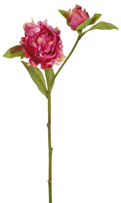Bauernpäonie x 2 53cm Blütenkopf Ø ca. 7cm Farbe: rosenholz