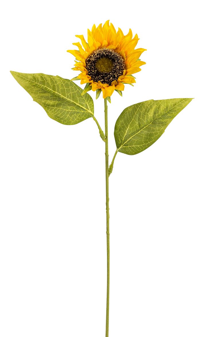 Sonnenblume 65cm Blütenkopf Ø ca. 10cm Farbe: gelb