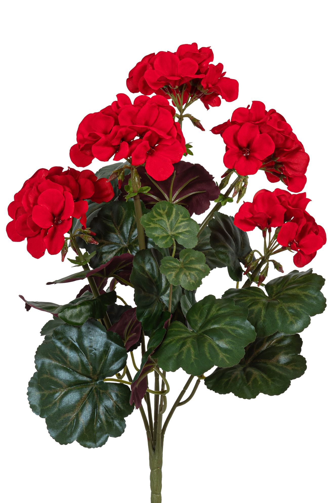 Geranienbusch x 5 45cm Blütenkopf Ø ca. 9cm Farbe: rot