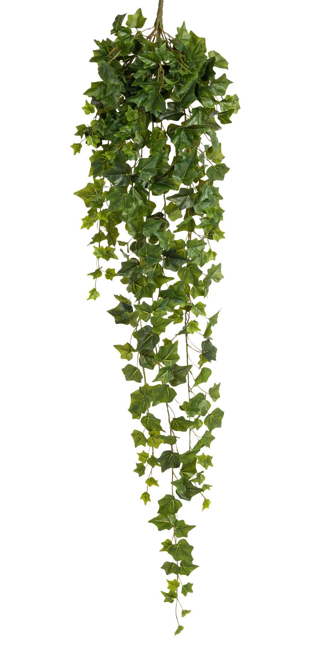 Efeubusch 16-fach x 303 140cm Blattgröße Ø ca. 3,5/4,5/6cm Farbe: grün