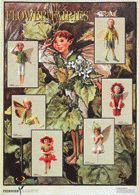 Poster-Flower-Fairies V Farbe: grau