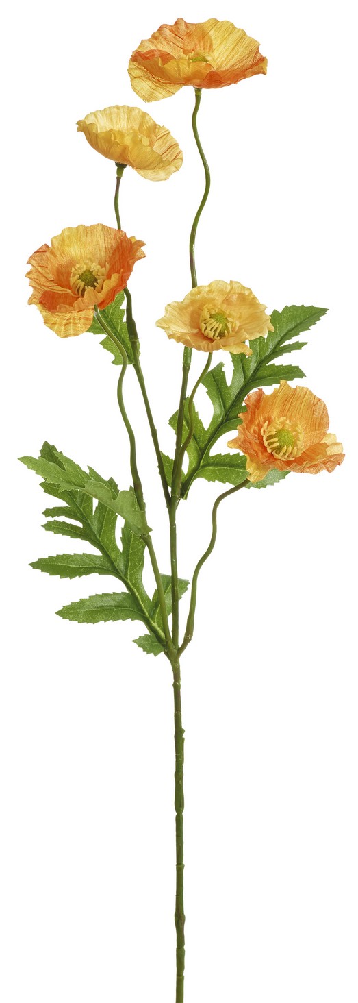Mohnblume x 5 64cm Blütenkopf Ø ca. 4/5,5cm Farbe: orange-gelb