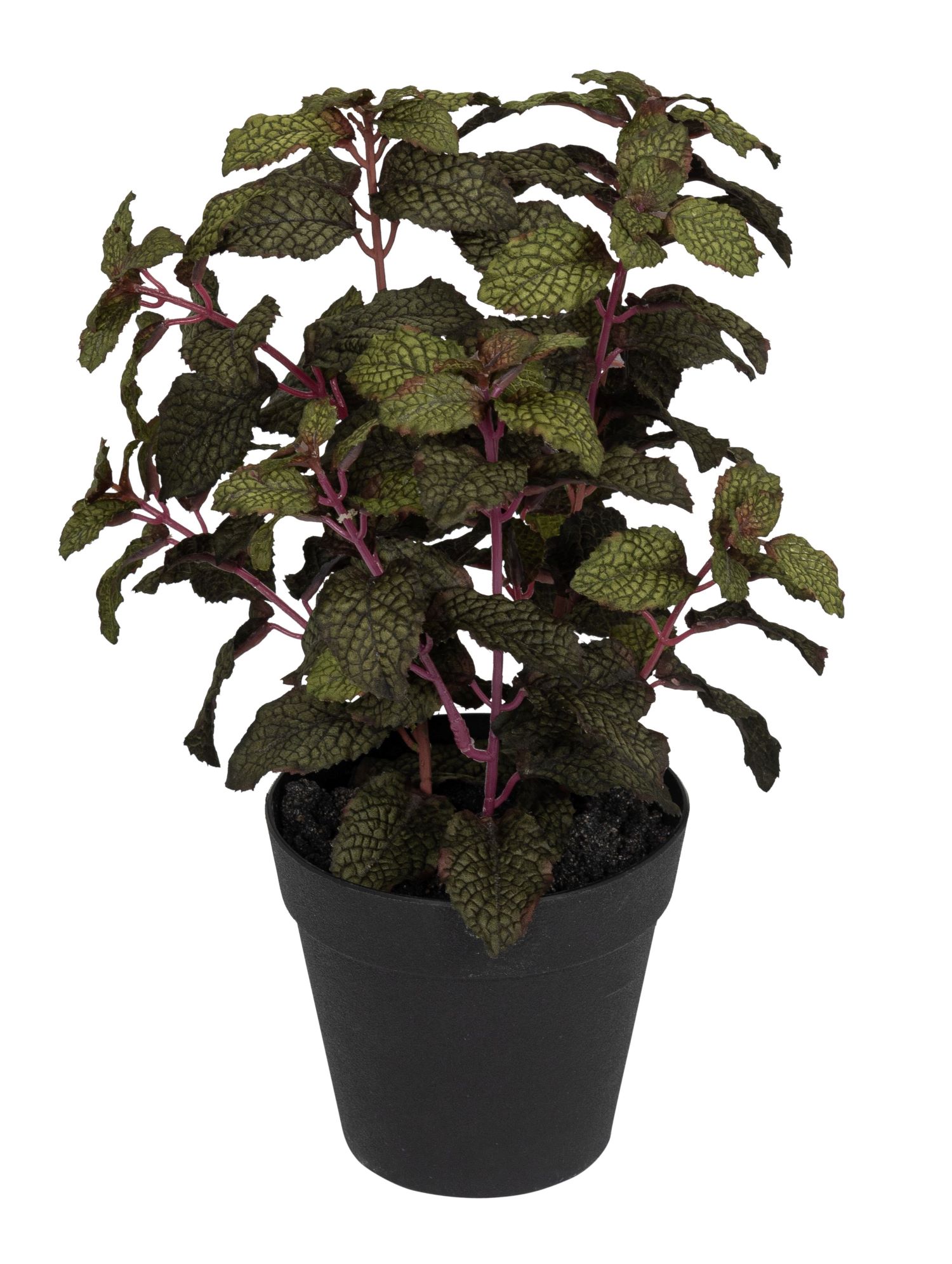 Minzetopf 30cm Topf: Höhe ca. 11,5cm Ø oben ca. 12,5cm Ø unten ca. 8cm Farbe: grün-burgund