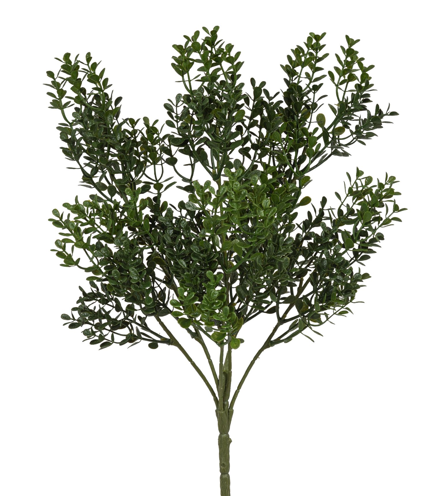 Buchsbaumbusch x 6 36cm Farbe: grün