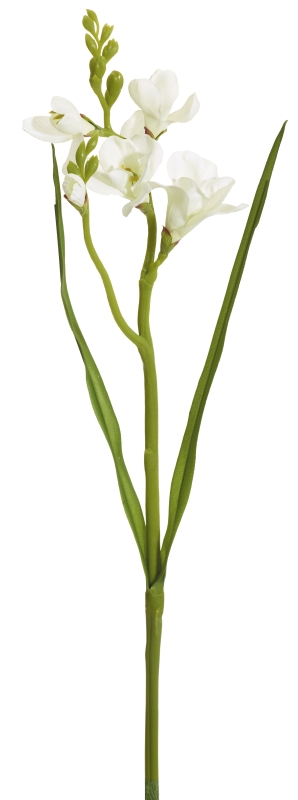 Freesie 2-fach 53cm Blütenkopf Ø ca. 3/4cm Farbe: weiß