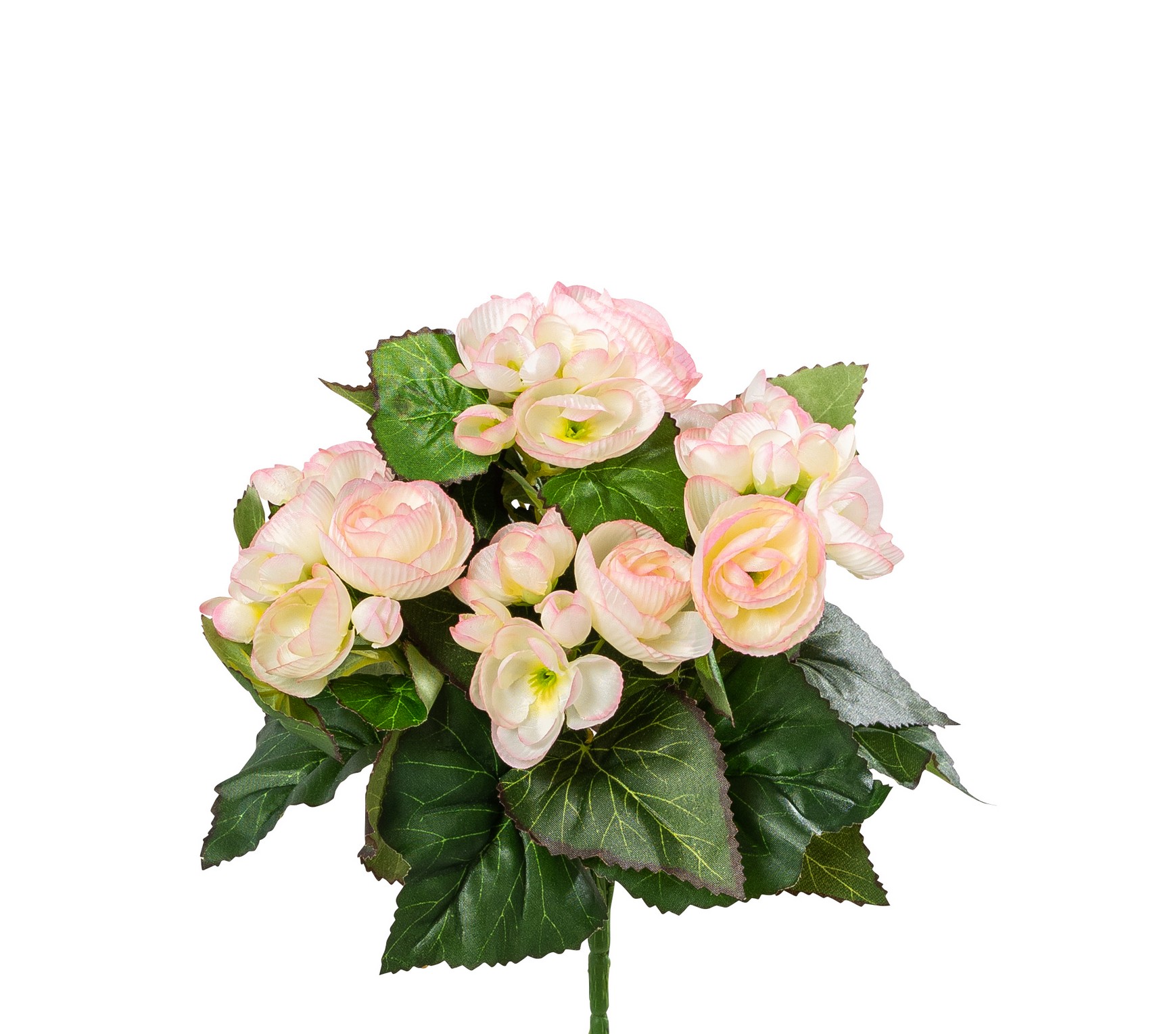 Begonienbusch 7-fach 28cm Blütenkopf Ø ca. 3/4cm Farbe: rosé-weiß