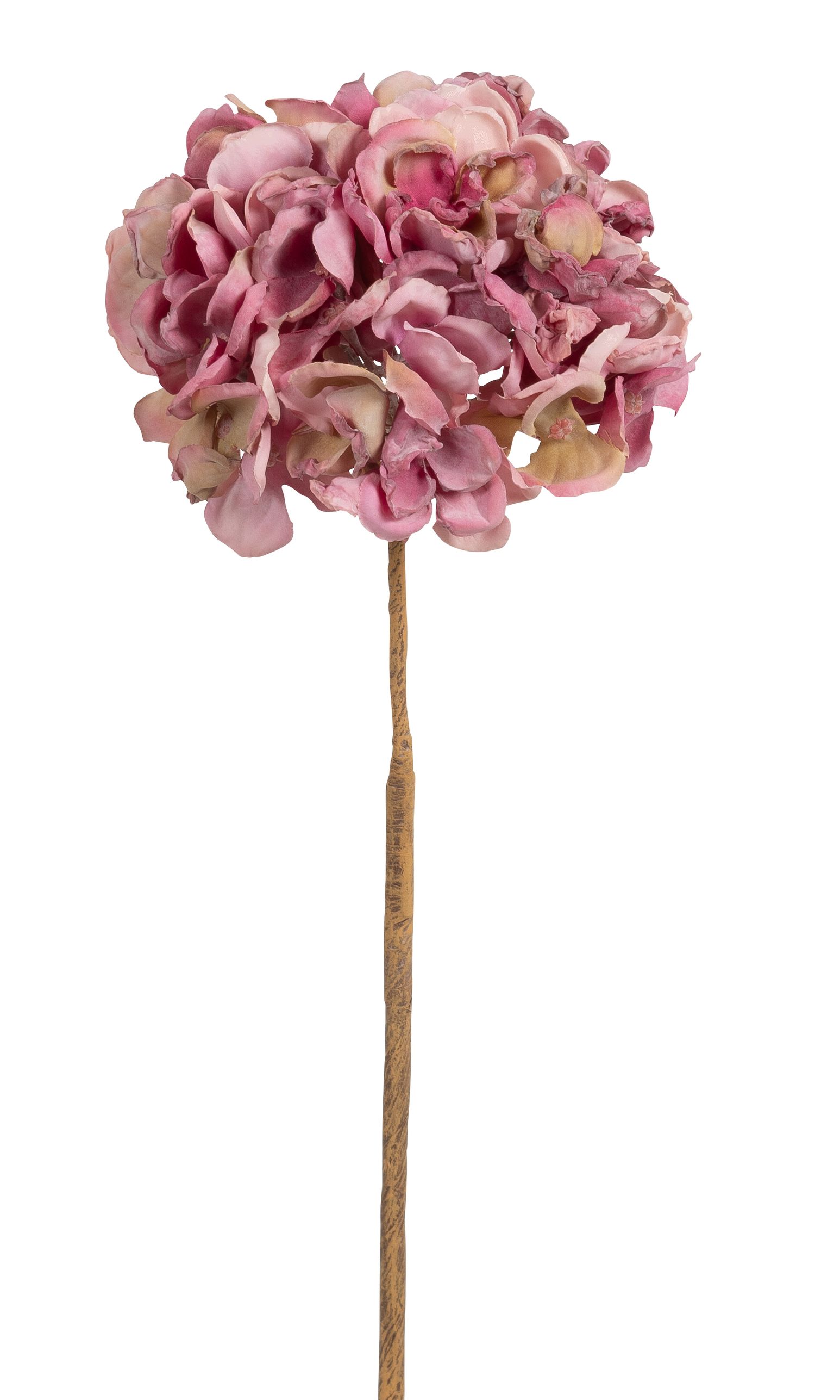 Hortensie 57cm Blütenkopf Ø ca. 18cm Farbe: altrosé