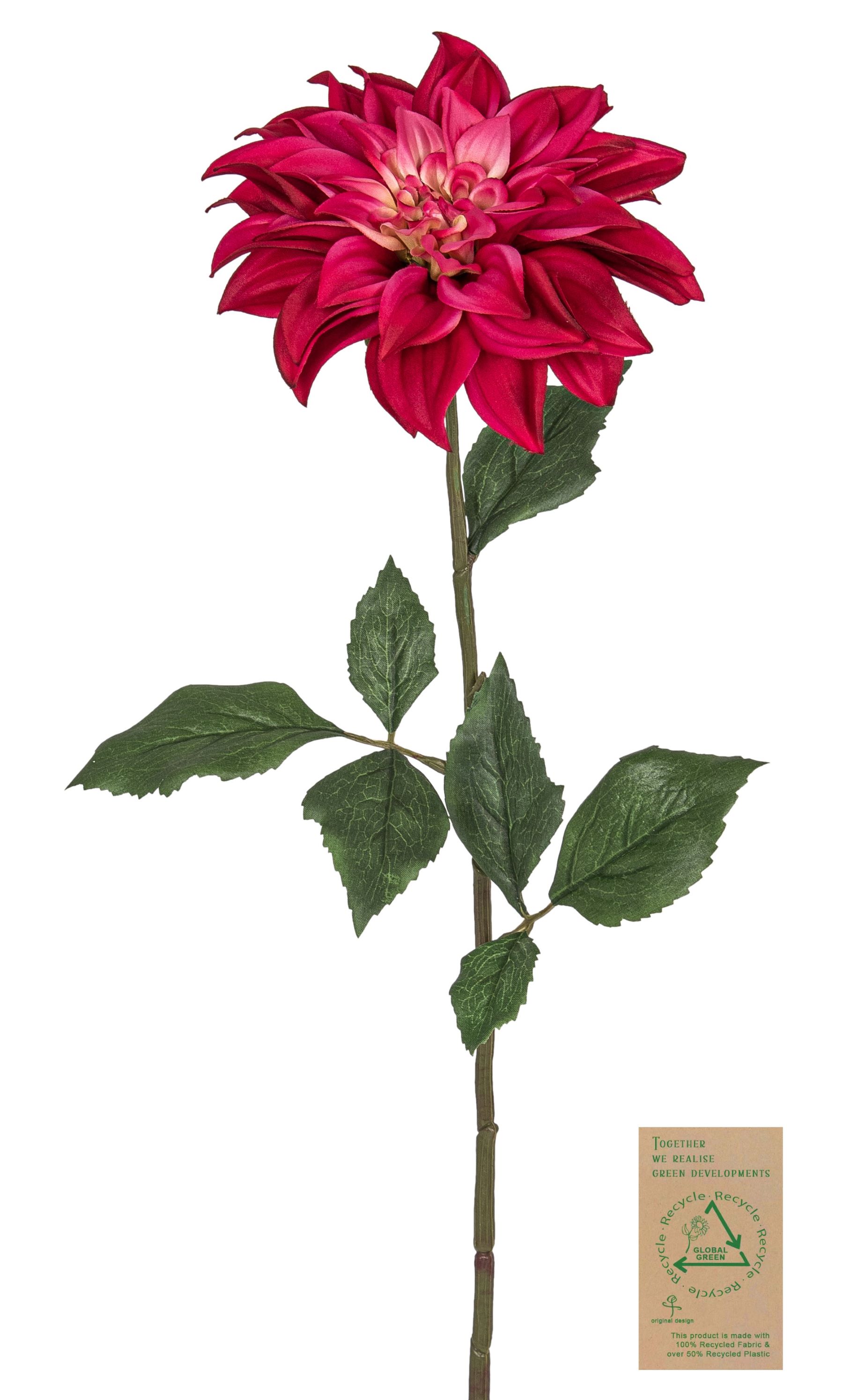 Dahlie RE 65cm Blütenkopf Ø ca. 15cm Farbe: cerise