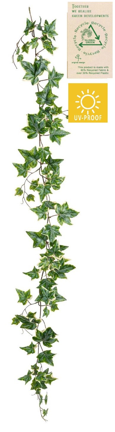 Efeugirlande UV RE x 79 150cm Farbe: grün-weiß