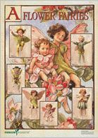 Poster-Flower-Fairies IX Farbe: grau