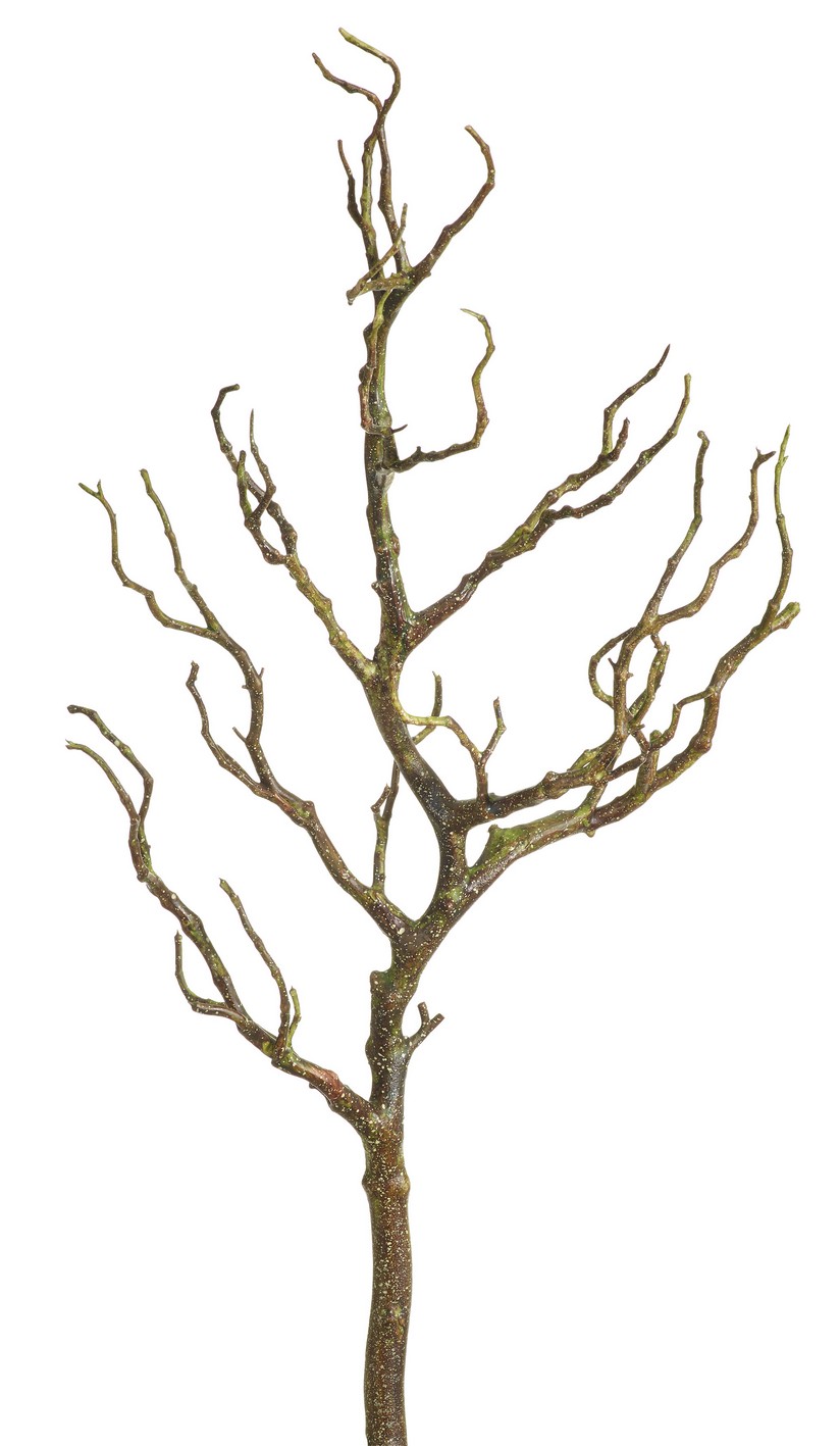 Hartriegelast 5-fach 76cm Farbe: braun