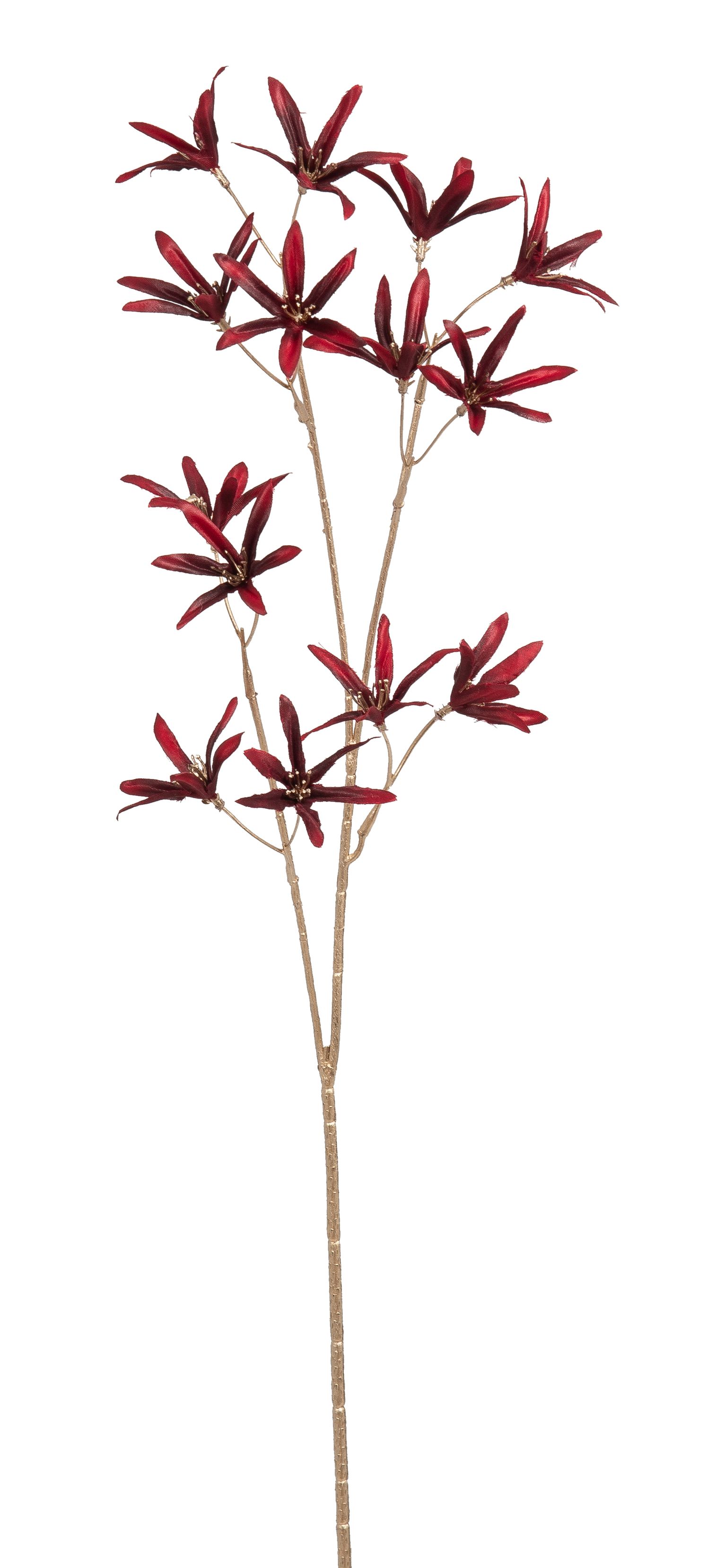 Sternblütenzweig x 14 71cm Blütenkopf Ø ca. 5,5cm Farbe: altrot
