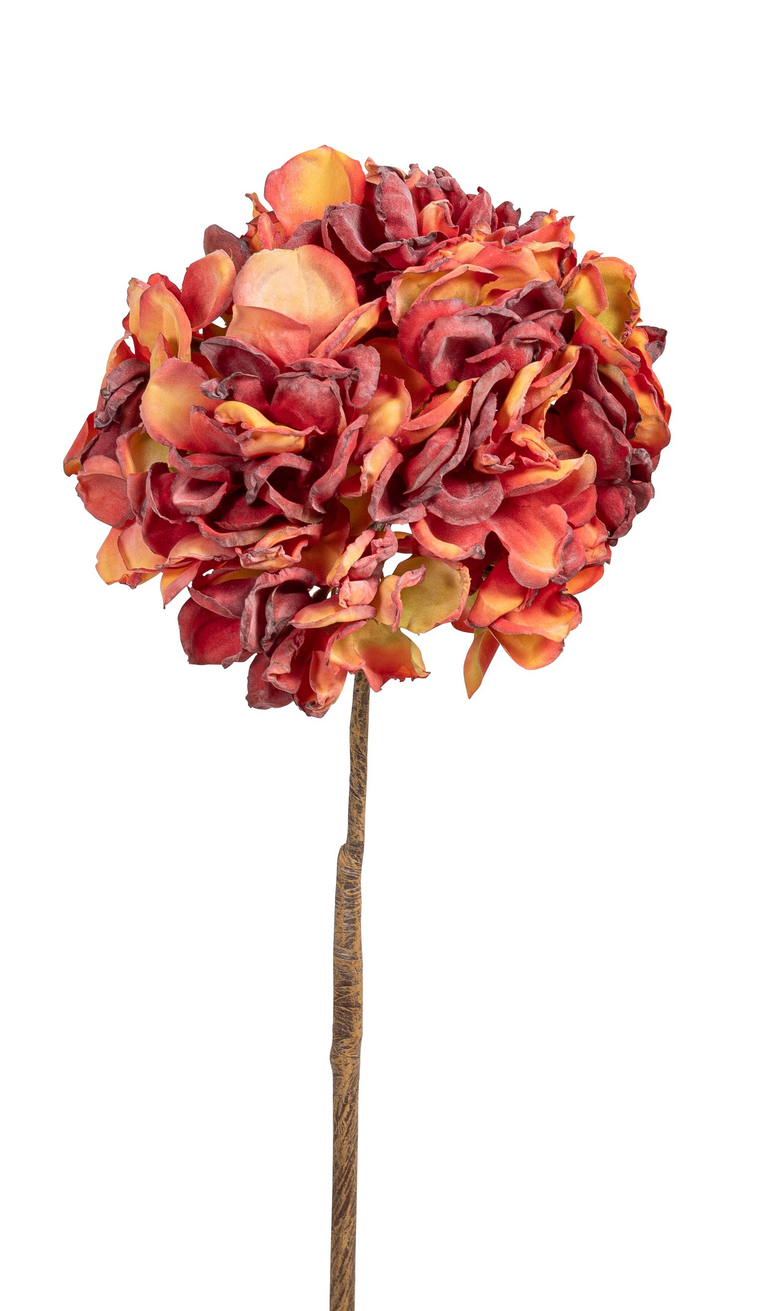 Hortensie 57cm Blütenkopf Ø ca. 18cm Farbe: orange-rot