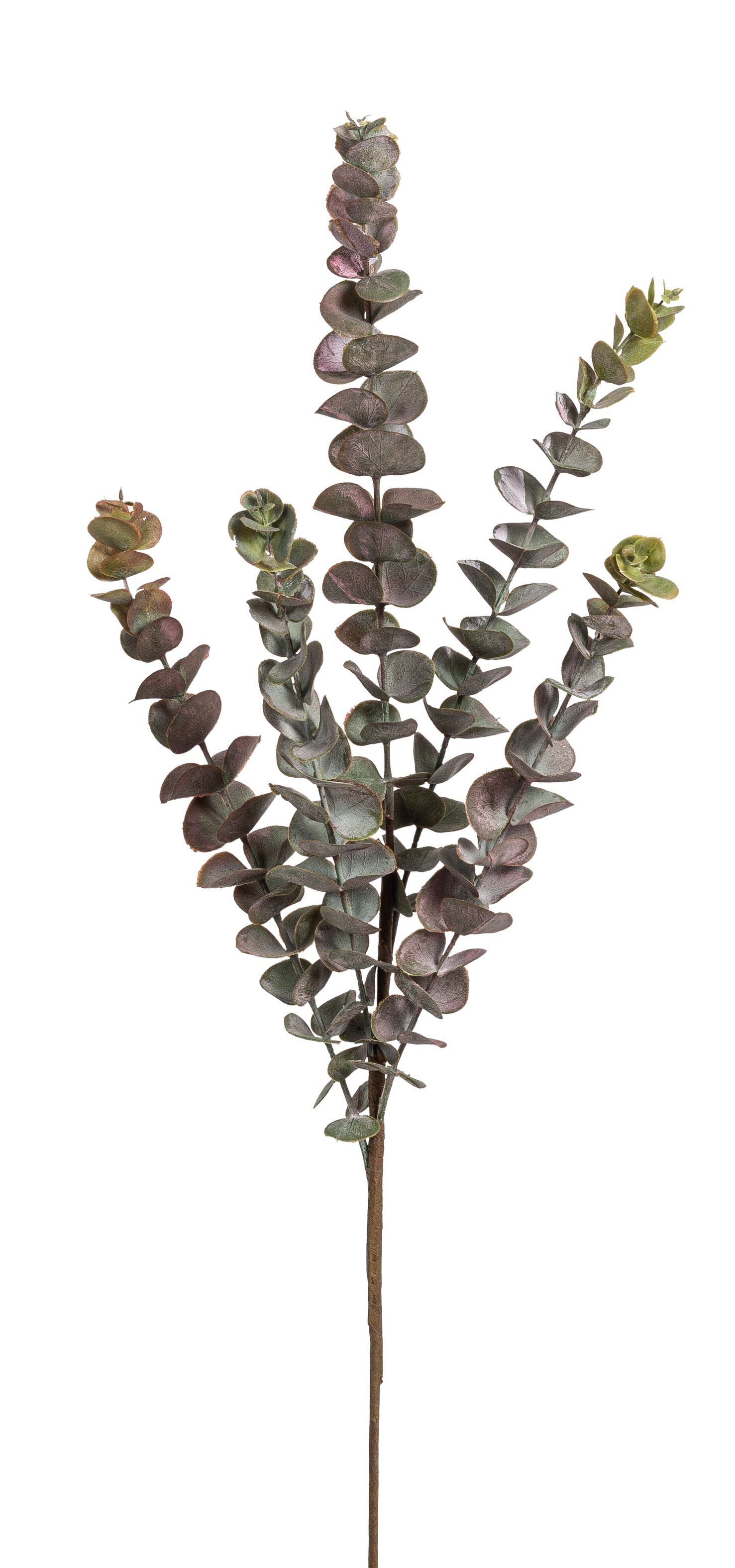 Eukalyptuszweig 5-fach 76cm Farbe: cerise