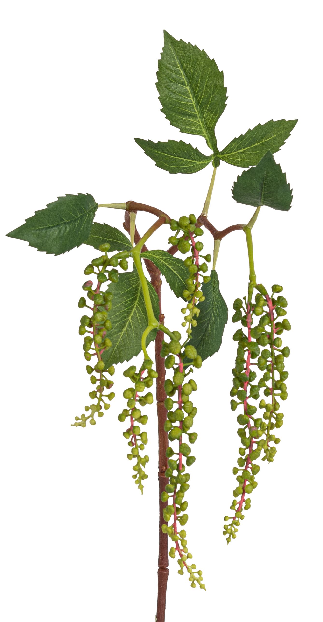 Beerenrispenzweig 2-fach 86cm Farbe: grün