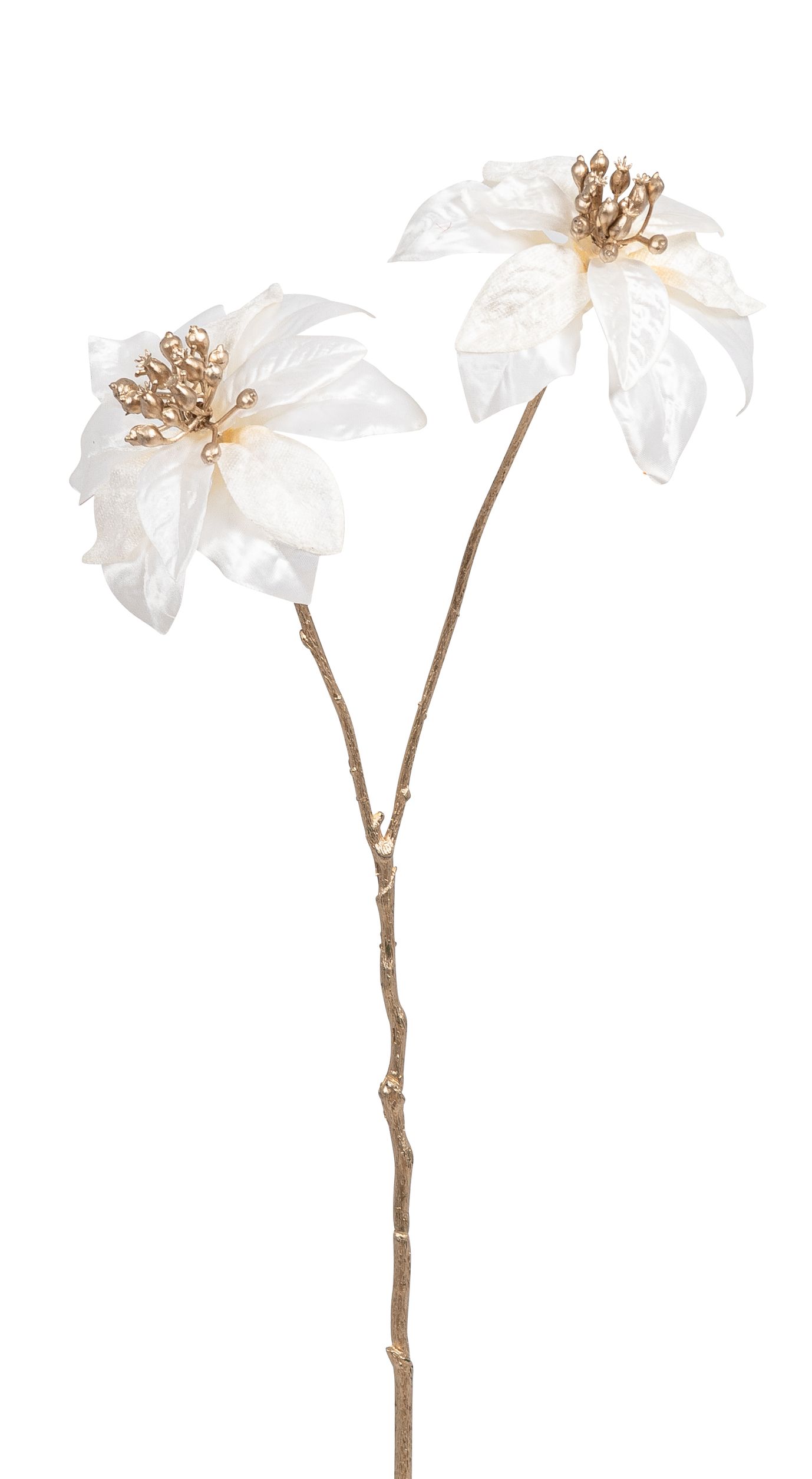 Velvet-Poinsettia x 2 42cm Blütenkopf Ø ca. 10cm Farbe: creme