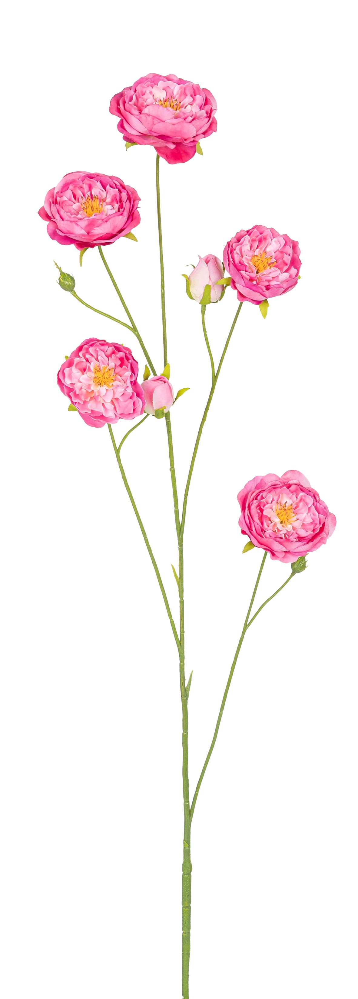 Rosenzweig x 7 89cm Blütenkopf Ø ca. 2,5/6/7,5cm Farbe: rosé-gemischt