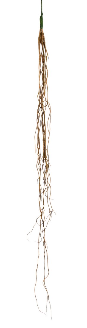 Orchideenwurzelranke 117cm Farbe: natur