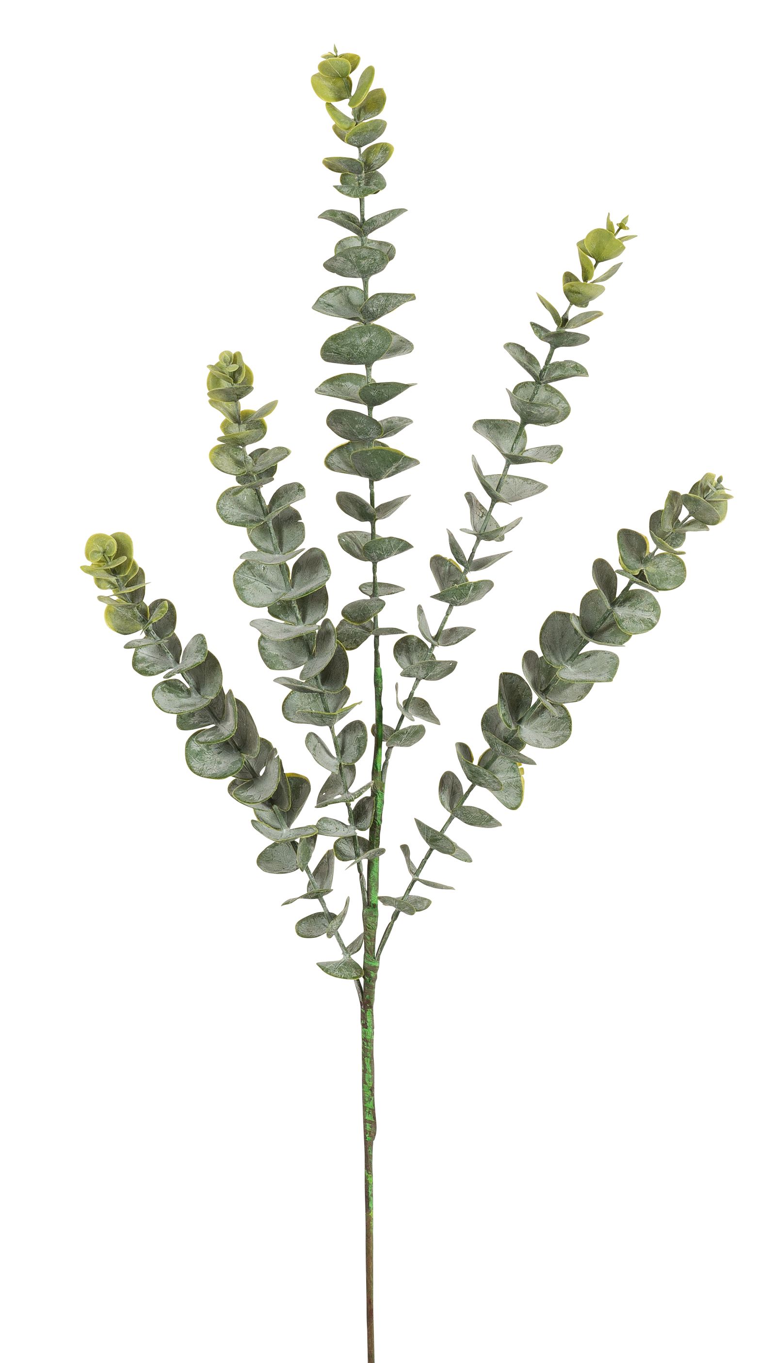 Eukalyptuszweig 5-fach 76cm Farbe: grün