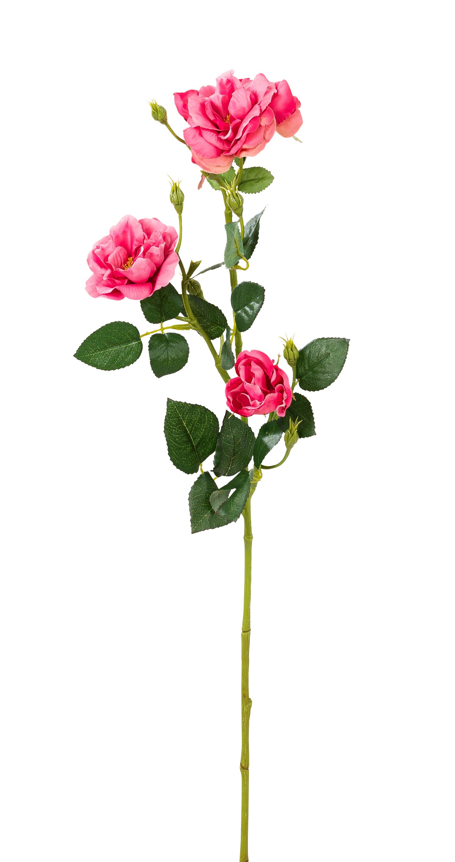 Heckenrosenzweig x 3 68cm Blütenkopf Ø ca. 5/8/9cm Farbe: azalee