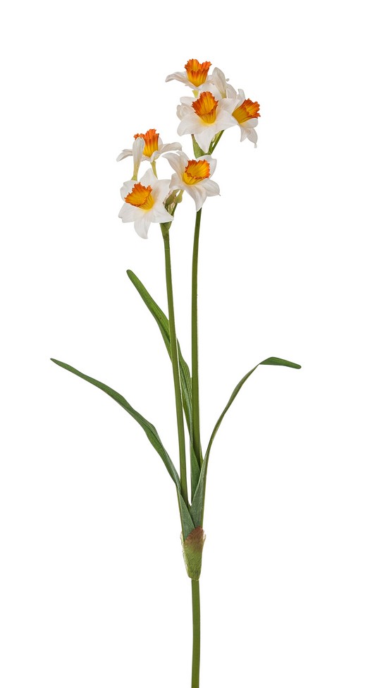 Narzisse 2-fach 62cm Blütenkopf Ø ca. 5cm Farbe: weiß-gelb