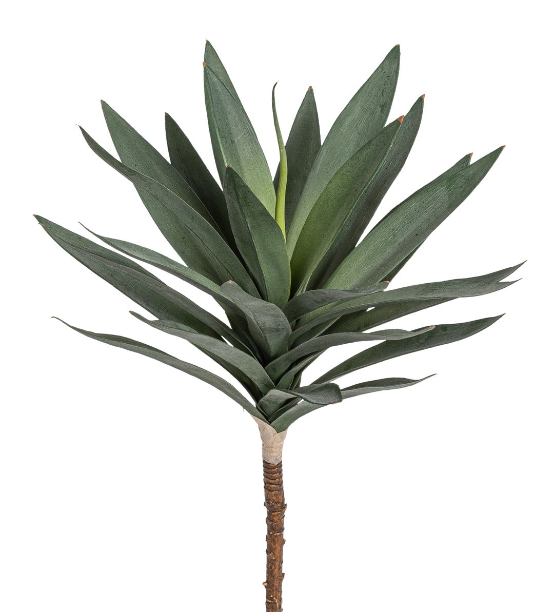 Agave 40cm  Ø ca. 24cm Farbe: grün