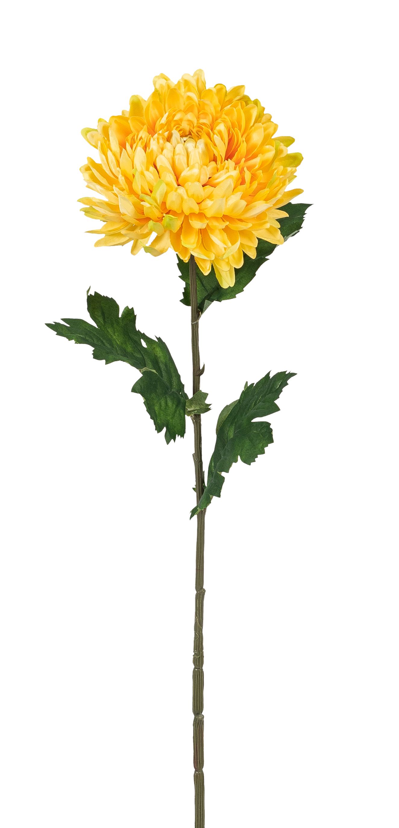 Chrysantheme 75cm Blütenkopf Ø ca. 14cm Farbe: gelb